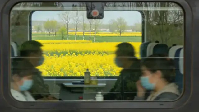 19岁女生突发心脏骤停引关注：“经济舱综合征”，你可能也在经历