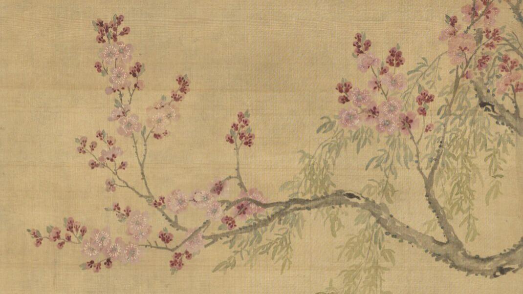 古代的考试花束会放哪些鲜花？