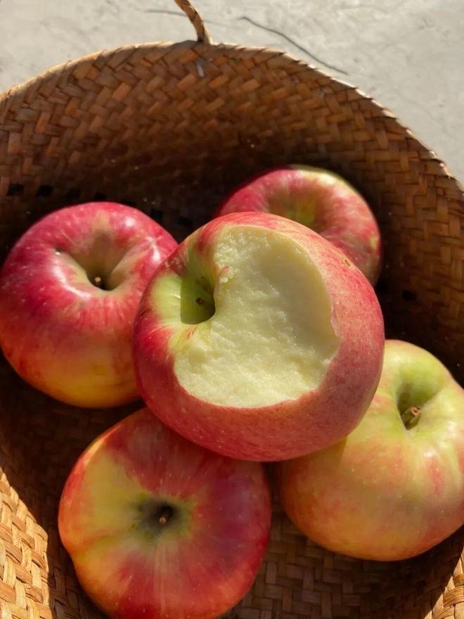 陕西秦脆苹果🍎美味打卡攻略！