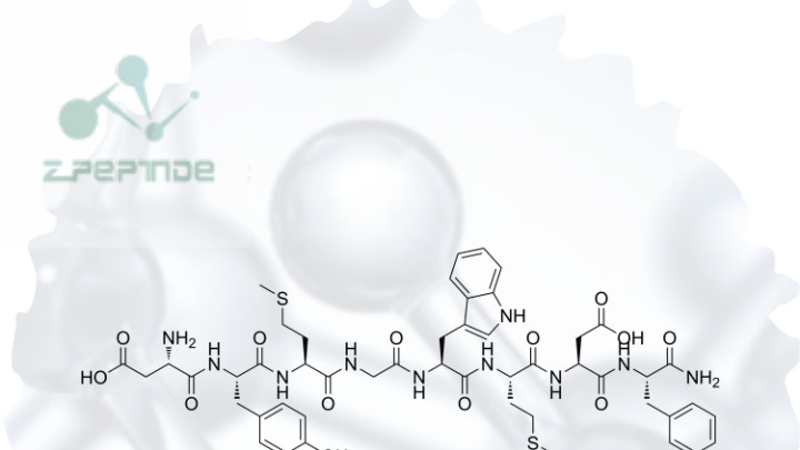解锁靶向分子筛选：靶向多肽文库构建服务全景解析