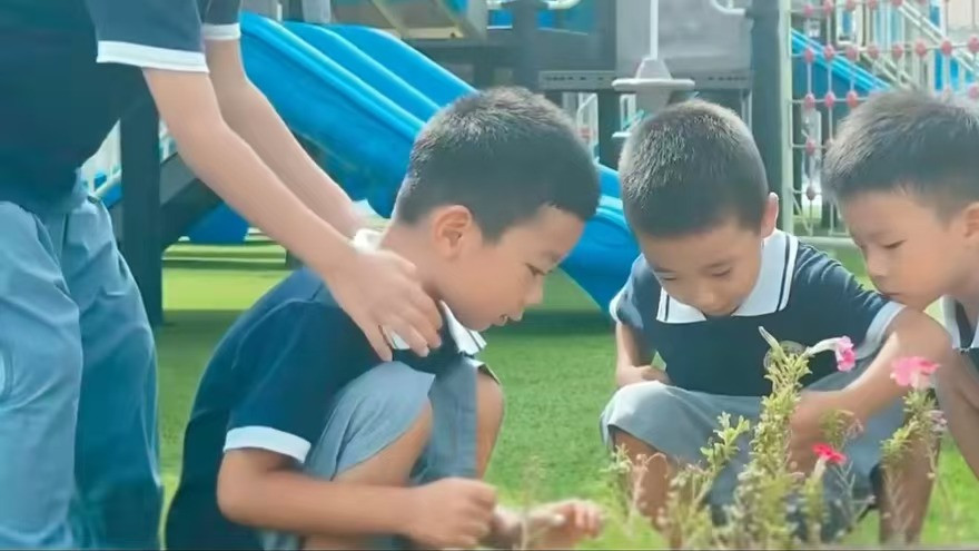 自理能力薄弱？孩子入学‘加速适应’有妙招！