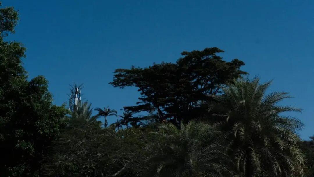 为什么年轻人都在solo trip？