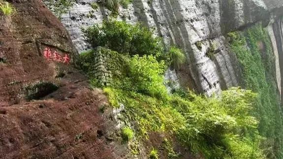 最适宜茶树生长的条件是什么？