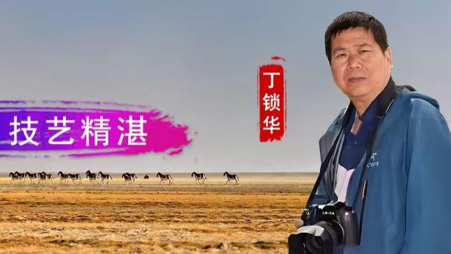 【墨舞青云】丁锁华：真实大气 技艺精湛
