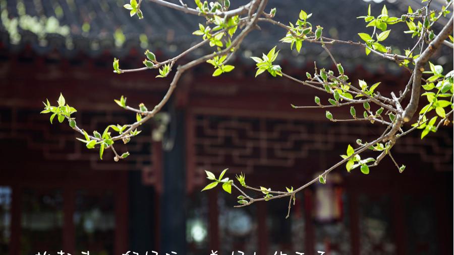 明天龙抬头！不管理不理发，这3件事比剃头更重要