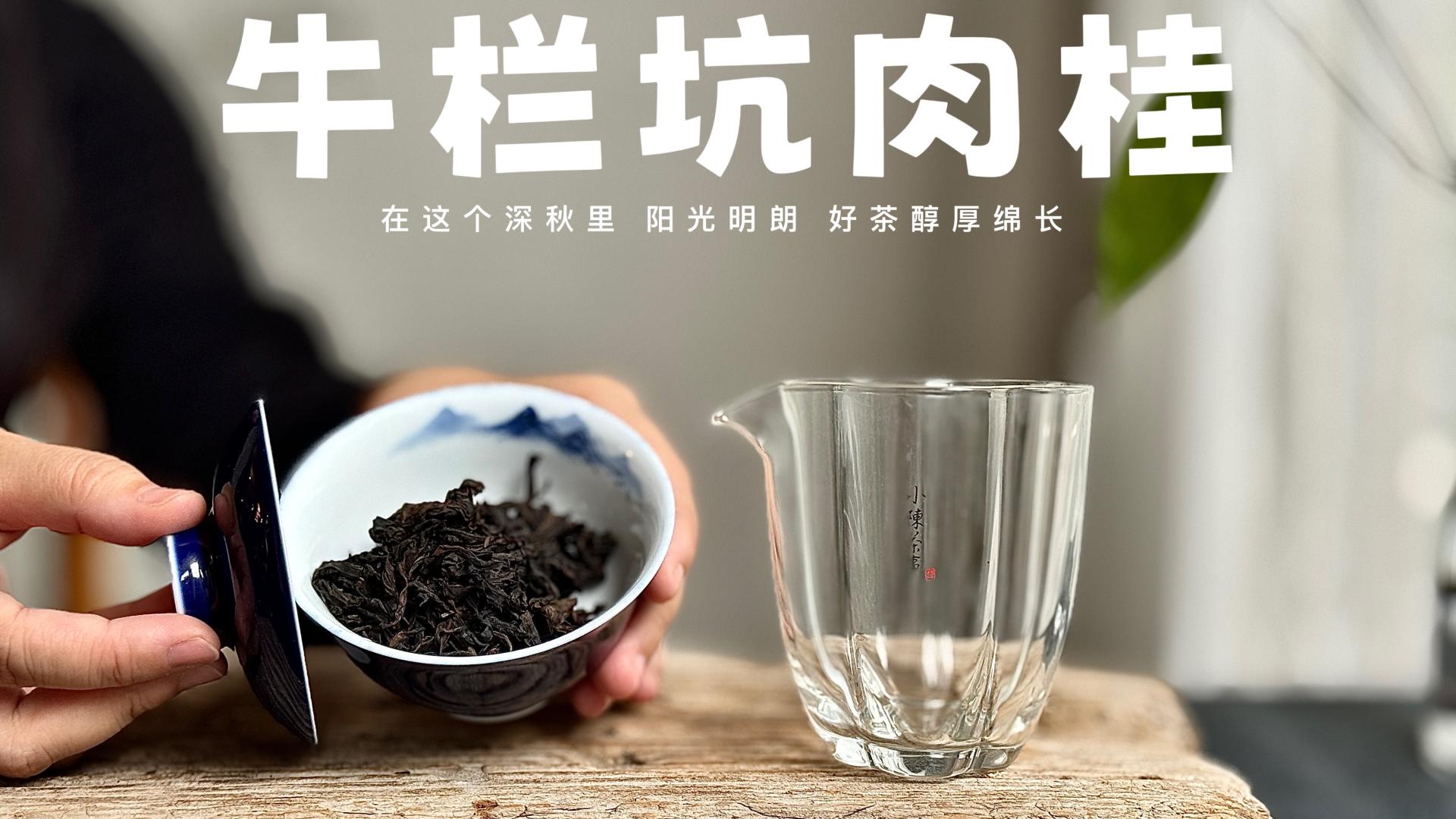 从上万元，到50块一斤甩卖，牛栏坑肉桂已经不值钱了吗？