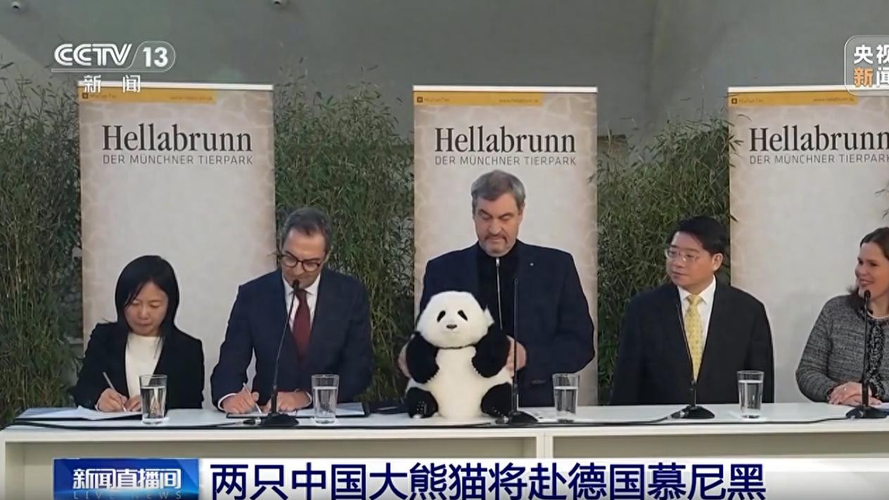 大熊猫即将空降慕尼黑！当地人：香肠可以不吃，但国宝必须见！