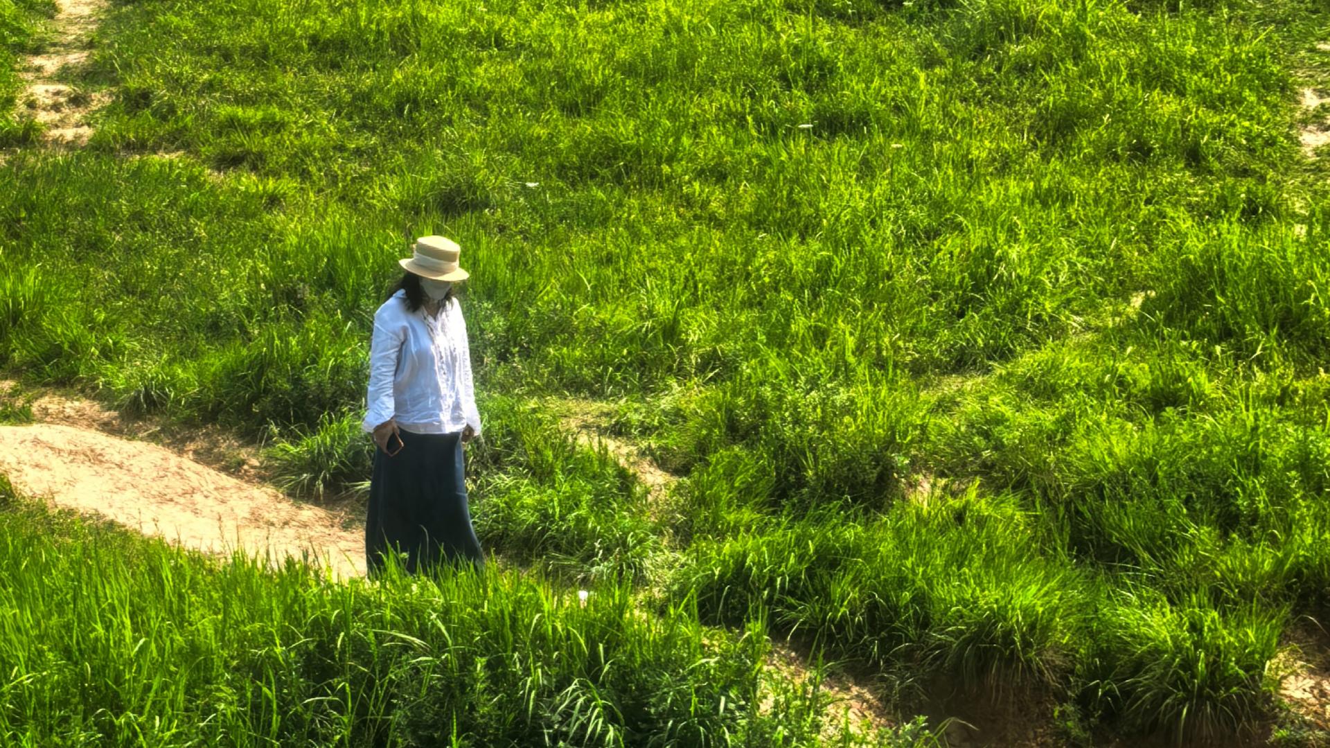 蓝田的这个《主角》取景地：景色真美，日头真毒，收费真野