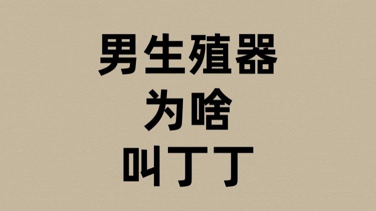 男生殖器为啥叫丁丁？