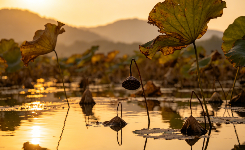 不要触碰你驾驭不了的东西，才能守住自己最起码的体面。不是一路人，怎么抄近路都没用