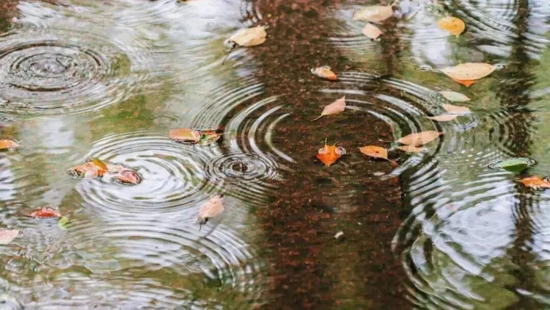 随笔：三月，新雨，心语