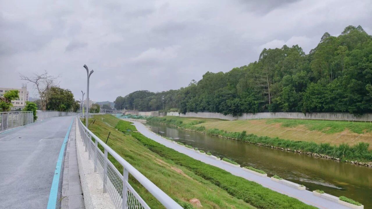同事给了一辆旧自行车，我花18块买了辅助轮，6岁小女儿第一次骑上去，一句话让我破防