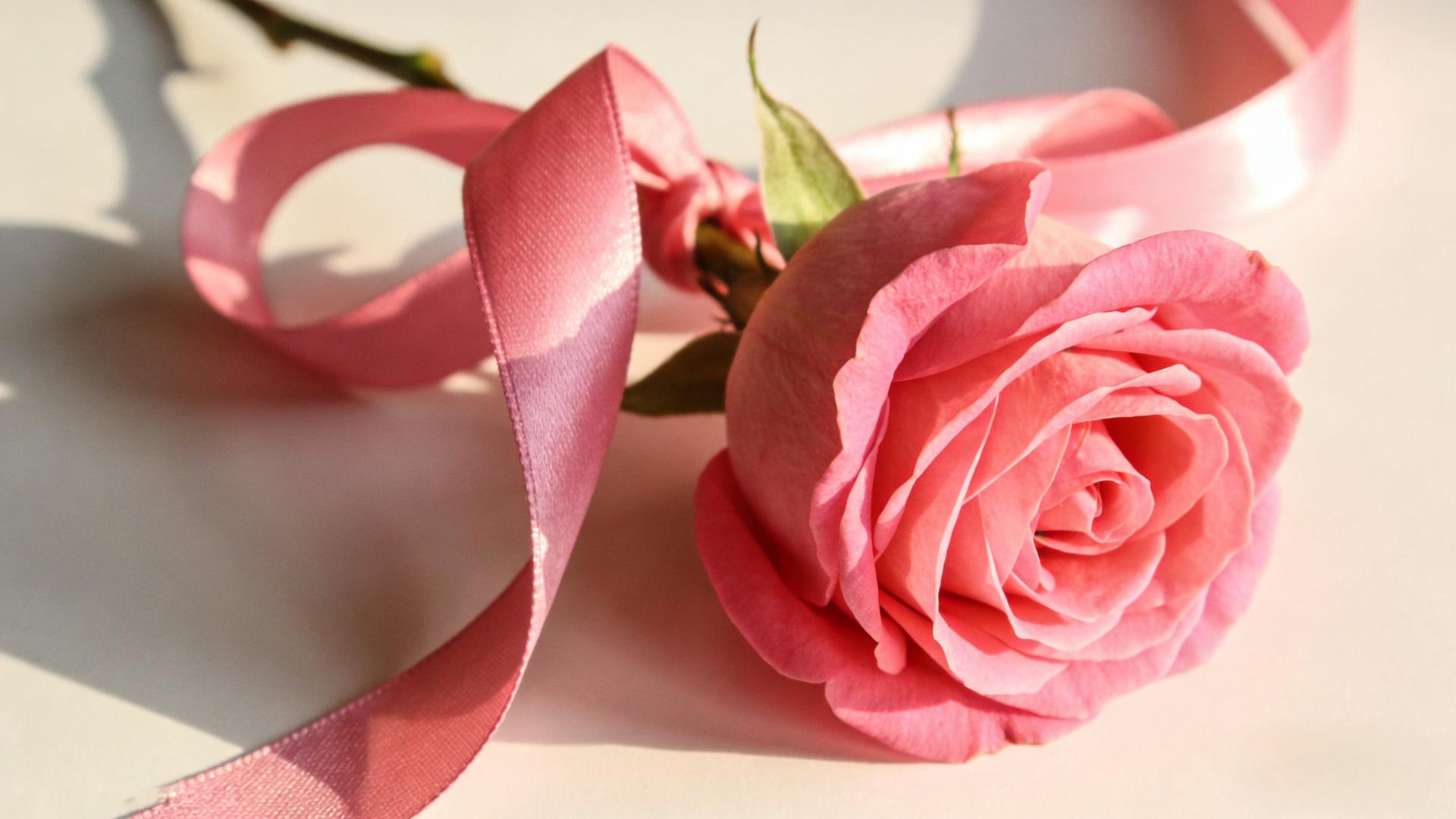 JAMA Oncology：近20%乳腺癌患者10年内心衰风险可预测，AUC达0.79