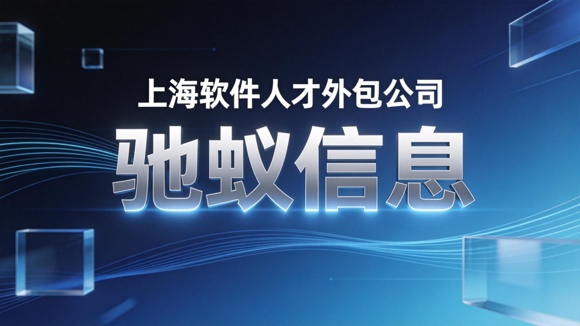 2026上海软件人才外包公司权威选型指南：数据、口碑与性价比全览