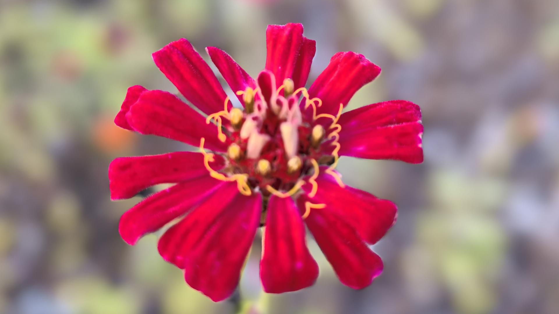 脾气藏着福气，不要随便发脾气