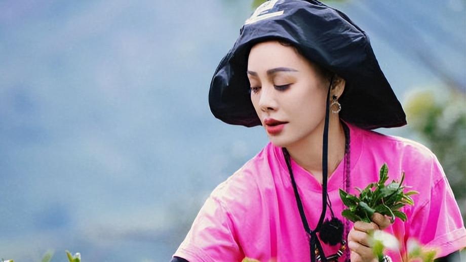 一边催恋爱一边劝别乱生娃——宁静的婚恋观打了谁的脸？