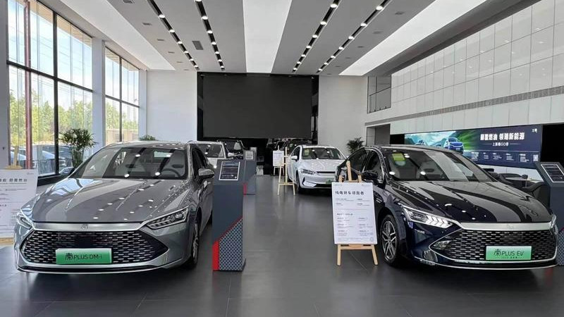 比亚迪车主一年4S店蹭饭260次还打包，这行为合法吗？