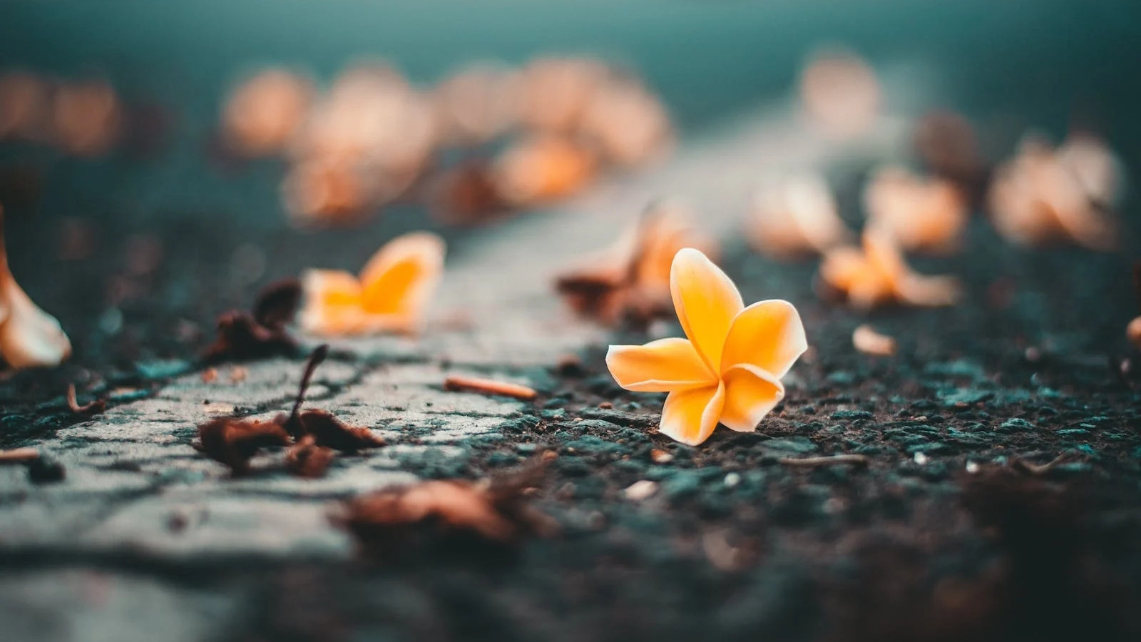 戒掉朋友圈的人，都懂这三种体面，很真实