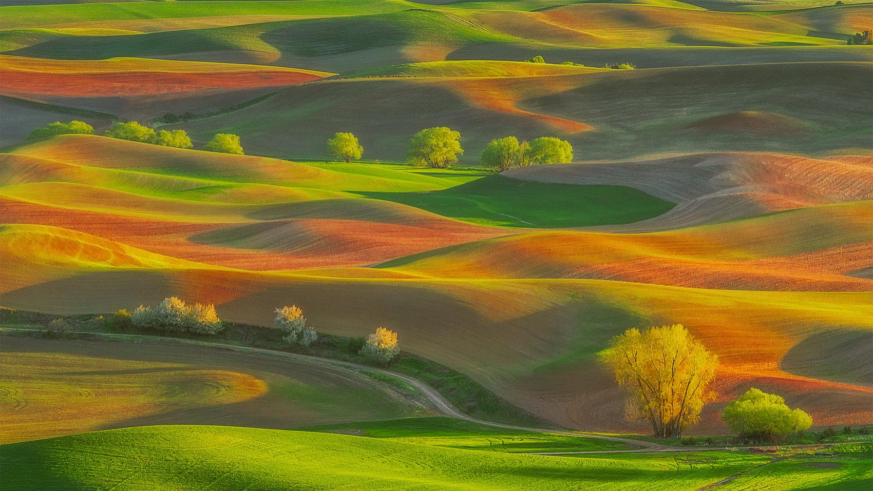 汪缘堂谈八字的用神与喜忌