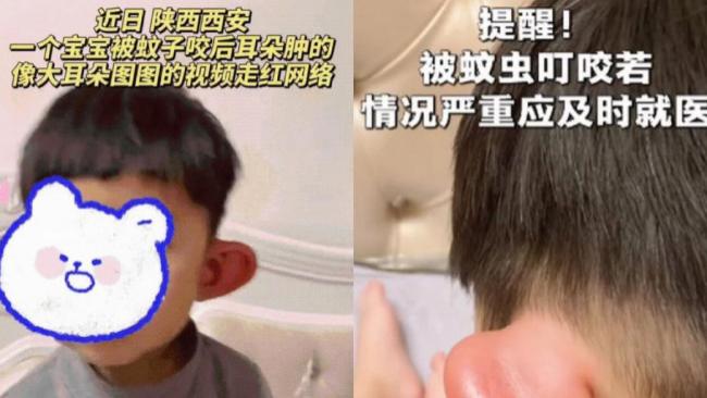 吸蚊灯是智商税吗？市面上哪种灭蚊灯好用？精选希亦、美的等TOP10灭蚊灯排行测评，教你不瞎买！
