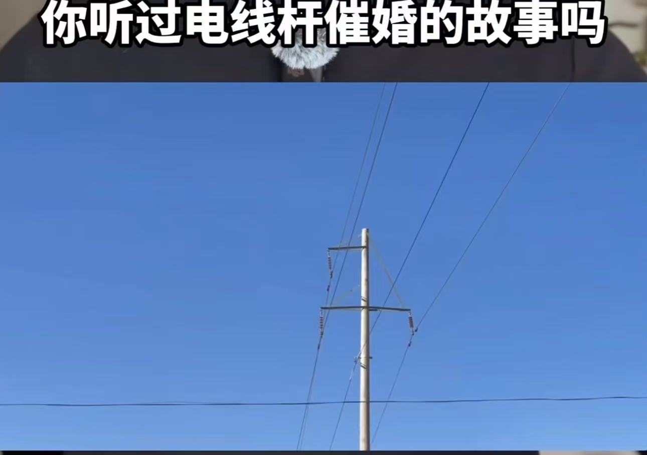 这个段子让人笑发财了！你听过电线杆催婚的故事吗？父亲觉得儿子单身的原因是因为家门