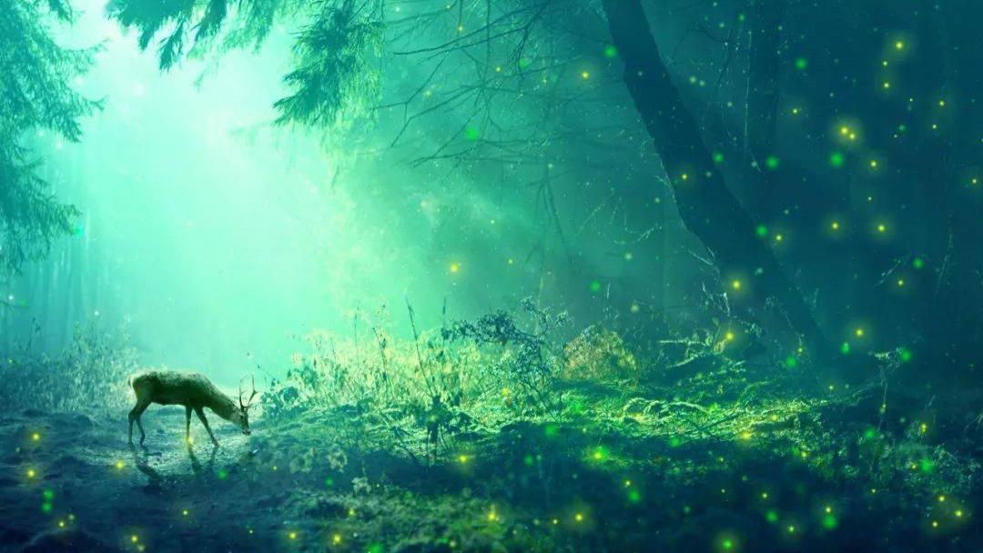 活得轻松的人的顶级心态：不纠缠，不争辩，不抱怨