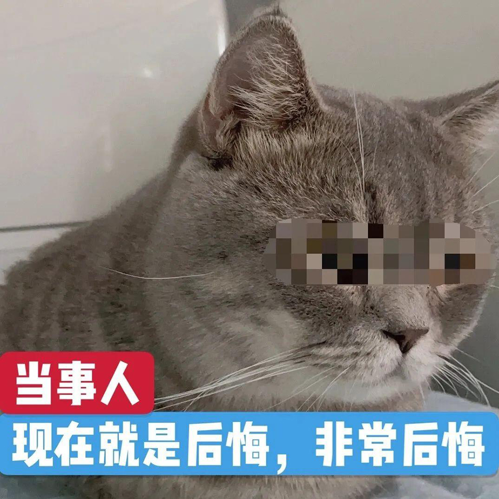 CL X3A开售即断货，2026显示器新顶流到底强在哪？