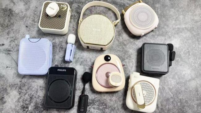 2026年小蜜蜂买哪个牌子好？小蜜蜂扩音器品牌排行榜推荐