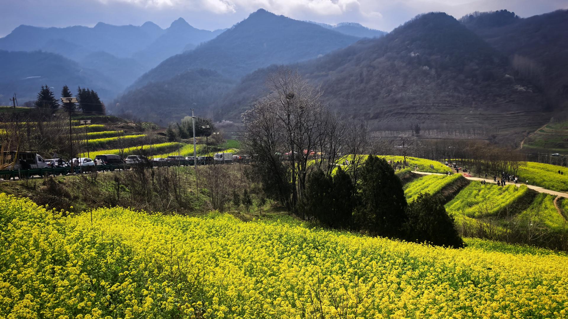 即使“最美环山路”再美，有这些乱停车的××，还是不要来了
