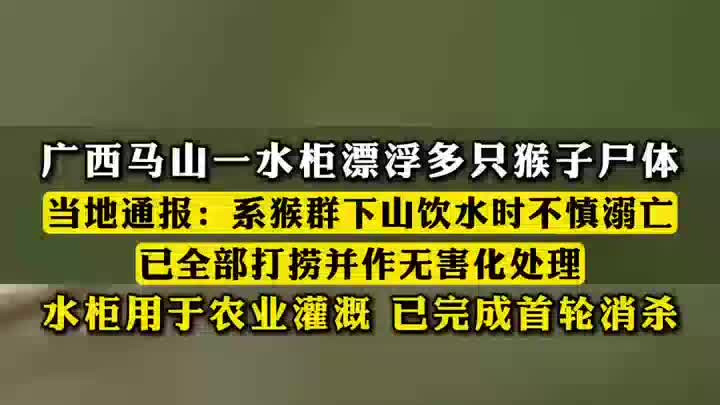 广西马山通报“水柜漂浮多只猴子”：猴群下山饮水时不慎溺亡