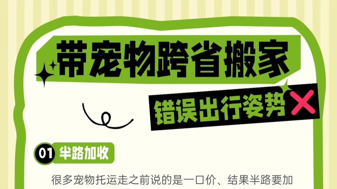 谁懂啊家人们！带毛孩子跨省搬家熬夜做攻略，本来就够焦虑了，还得被托运坑到崩溃！