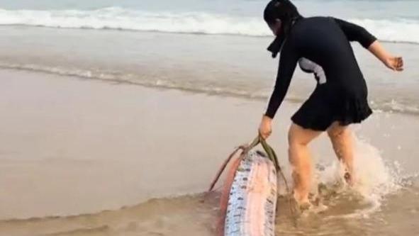 海南沙滩惊现3米长“地震鱼”！别慌，真相可能和你想的不一样 至少3米！搁浅在海南的皇带鱼就是地震前兆