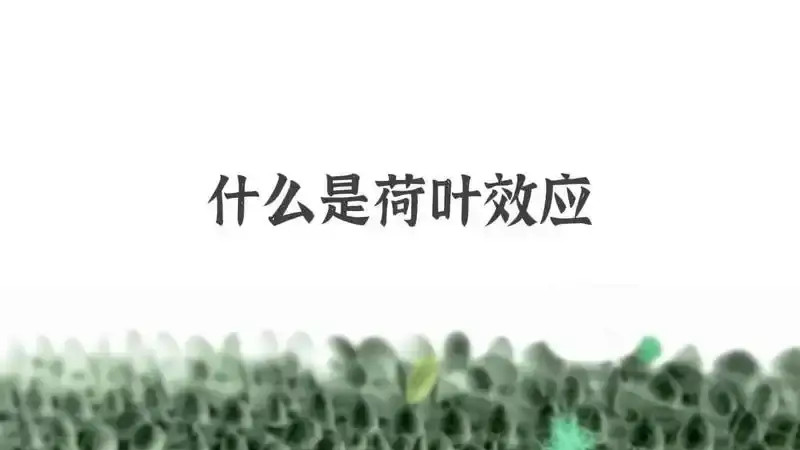 为什么荷叶能出污泥而不染? 认为表面光滑一定打脸，仿生应用大有讲究