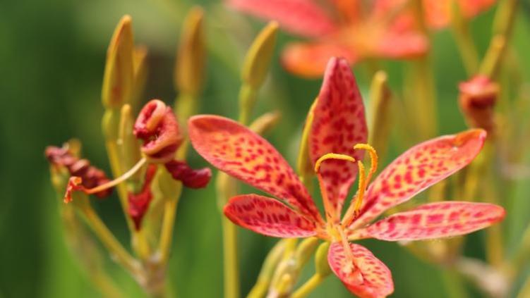 北京十大名老中医揭晓