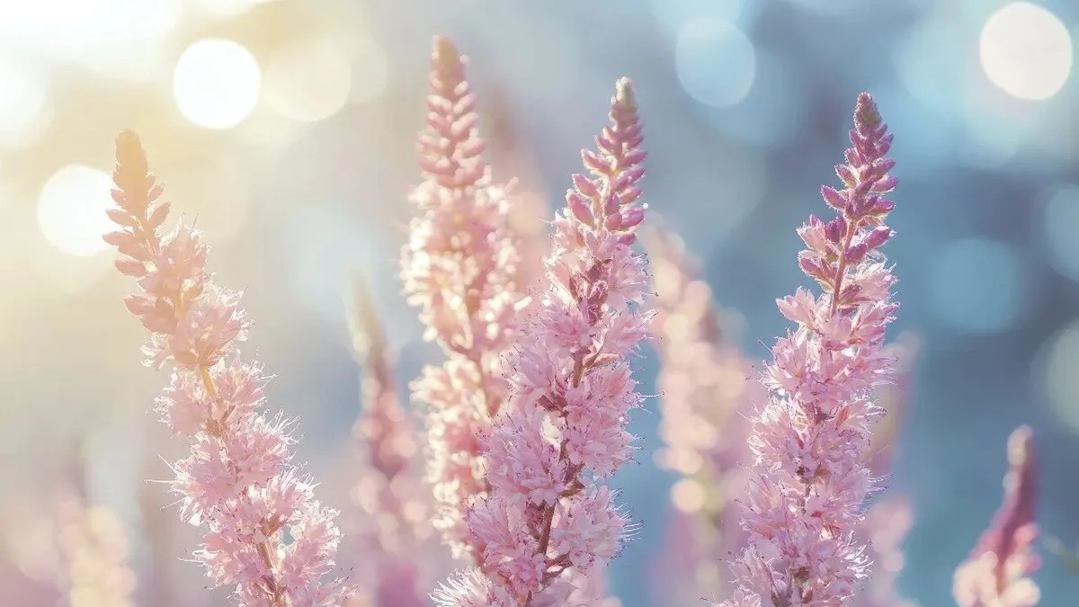 什么样的人更有吸引力？