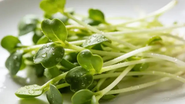 错过等一年！春天必吃的6种“黄金芽”，好吃又护腿！