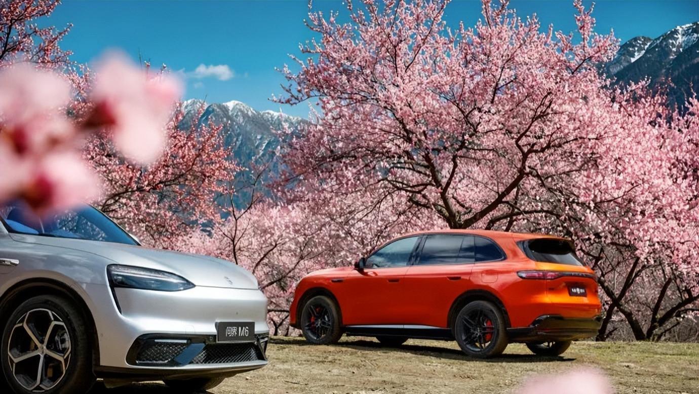问界M6，订单破10万，爆了吧。