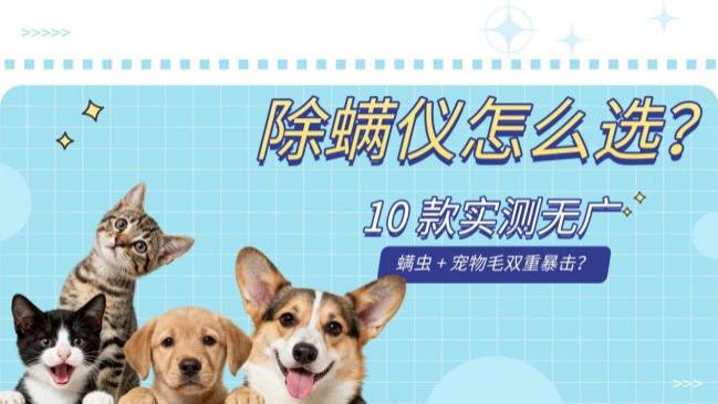 你会选哪款除螨仪消灭螨虫？2026的10款除螨仪分享，看谁才是除螨天选！