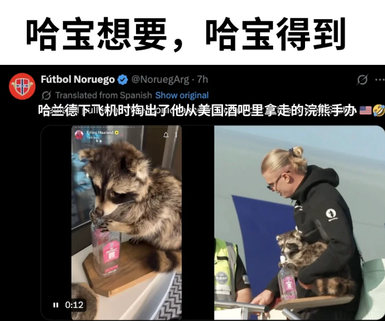世界杯半决赛前的搞笑足球梗图合集，哈宝就算回家了怎么也这么多笑料！全世界都在热烈