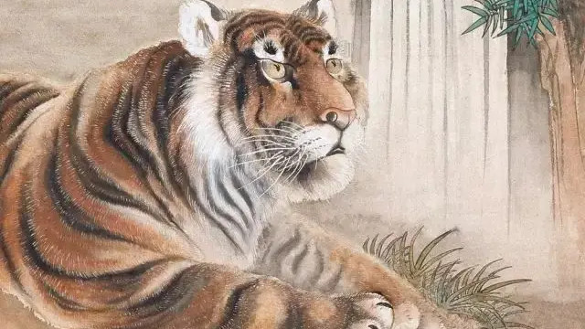 生肖虎，2026年春分：3月20日-4月4日勿操他人心，勿正义感过强！