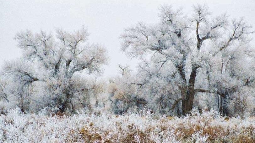 九零后普通人靠自己百日自律计划：运动·学习·搞钱