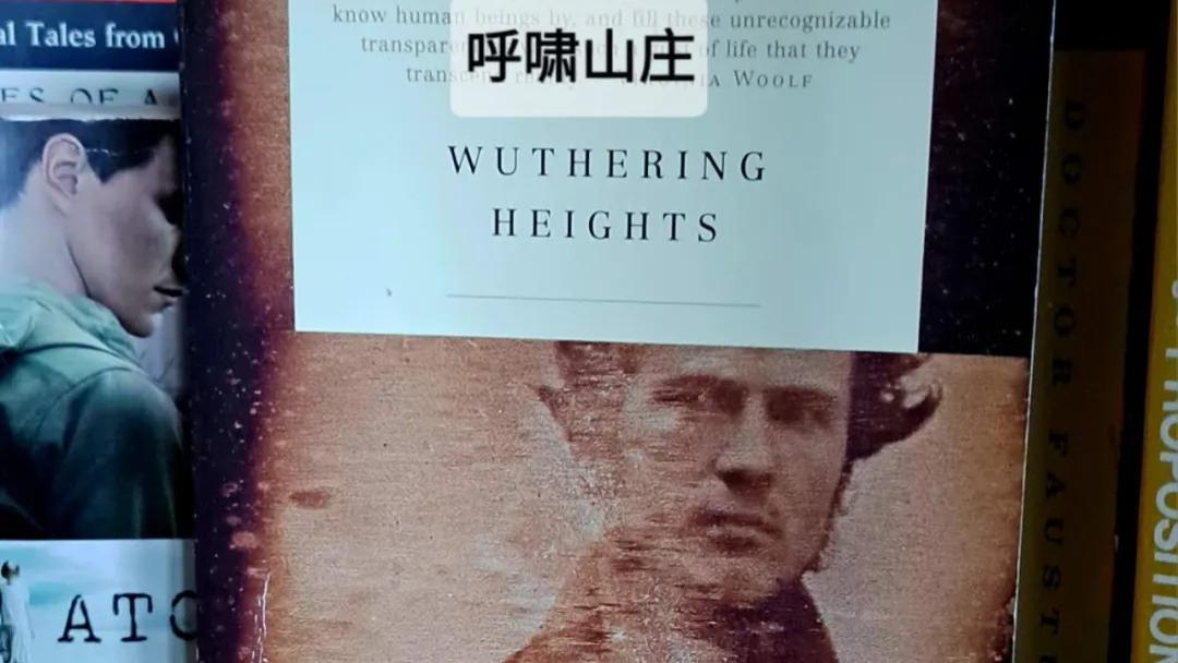 《呼啸山庄》，一部被称为虐恋开山鼻祖的小说①