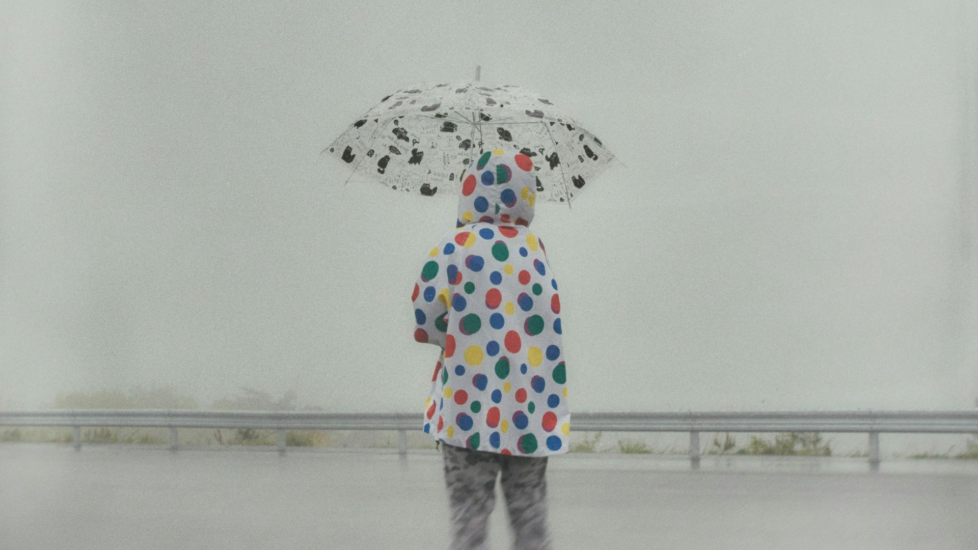 依恋家乡的人，主要恋的是什么