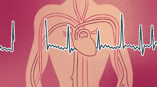 一旦发生心脏骤停，短时间内人体各器官会发生一些变化，若不及时抢救，将造成不可逆的