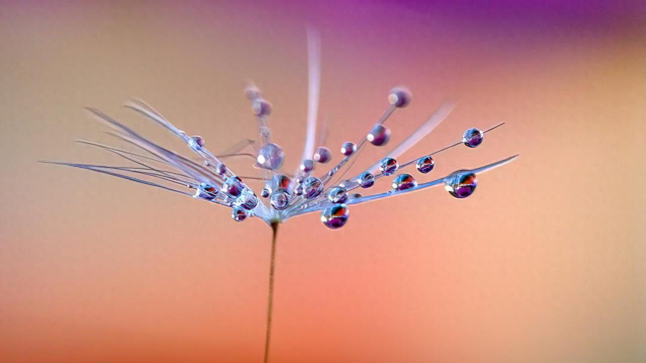 为什么国考申论50分，间隔几天，省考却70分