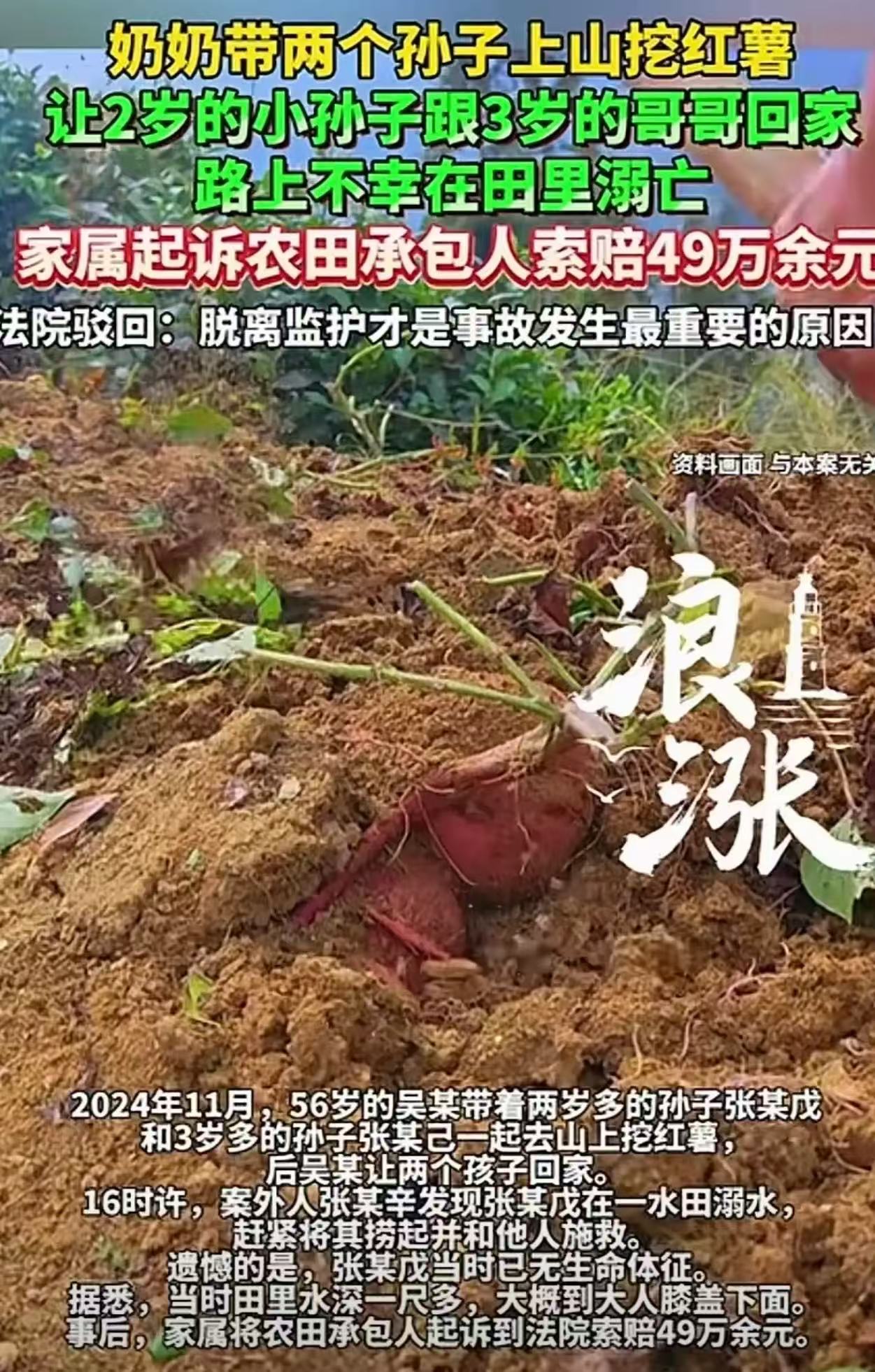 “讹人讹地讹空气！”56岁大妈，带着2个孙子上山挖红薯，挖到一半让3岁的哥哥带2