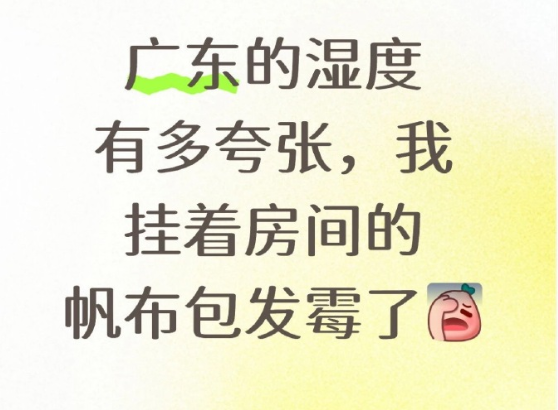 广东的湿度有多夸张 ​!!!

