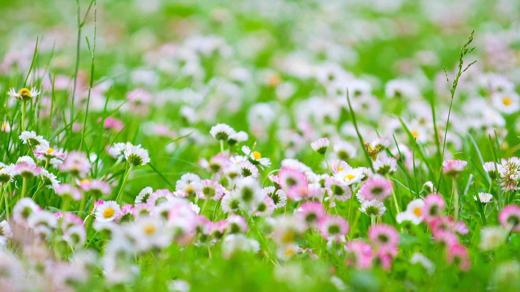 汪缘堂：比肩的价值从不在于情义，而在于长期责任分担的平衡