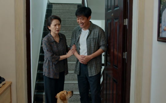 楼上邻居嫌我家狗叫，我无奈把狗送回老家，第2天物业竟找上门来：您到底把狗送哪了，现在半个小区都在投诉