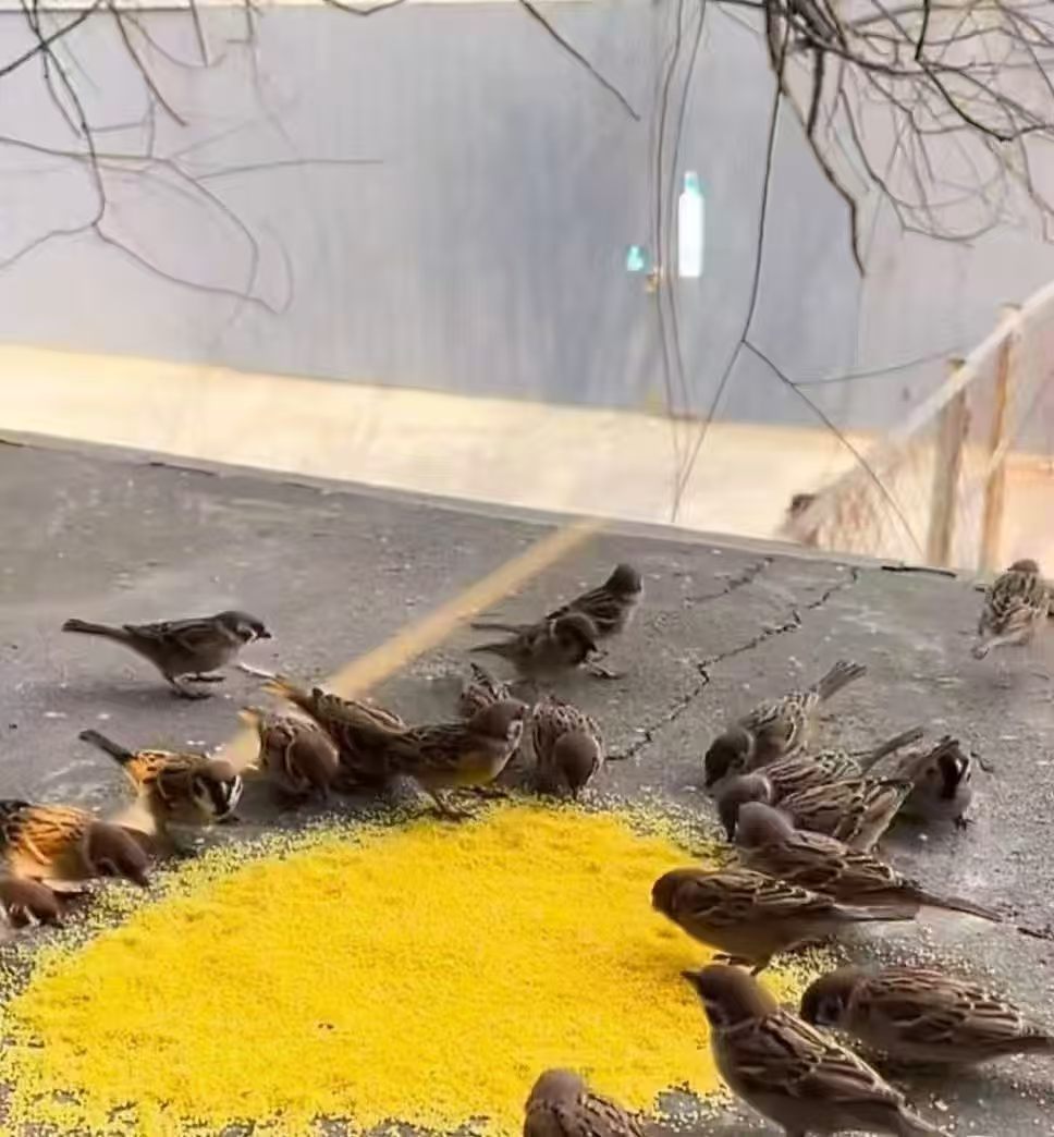 人一定要有良心，虽然良心不值钱，但是它可以积德，所以做人做事，心不要那么狠，良心